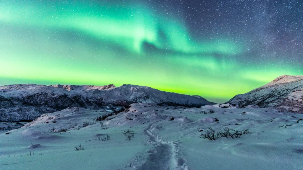 paisagem aurora boreal embarque with us