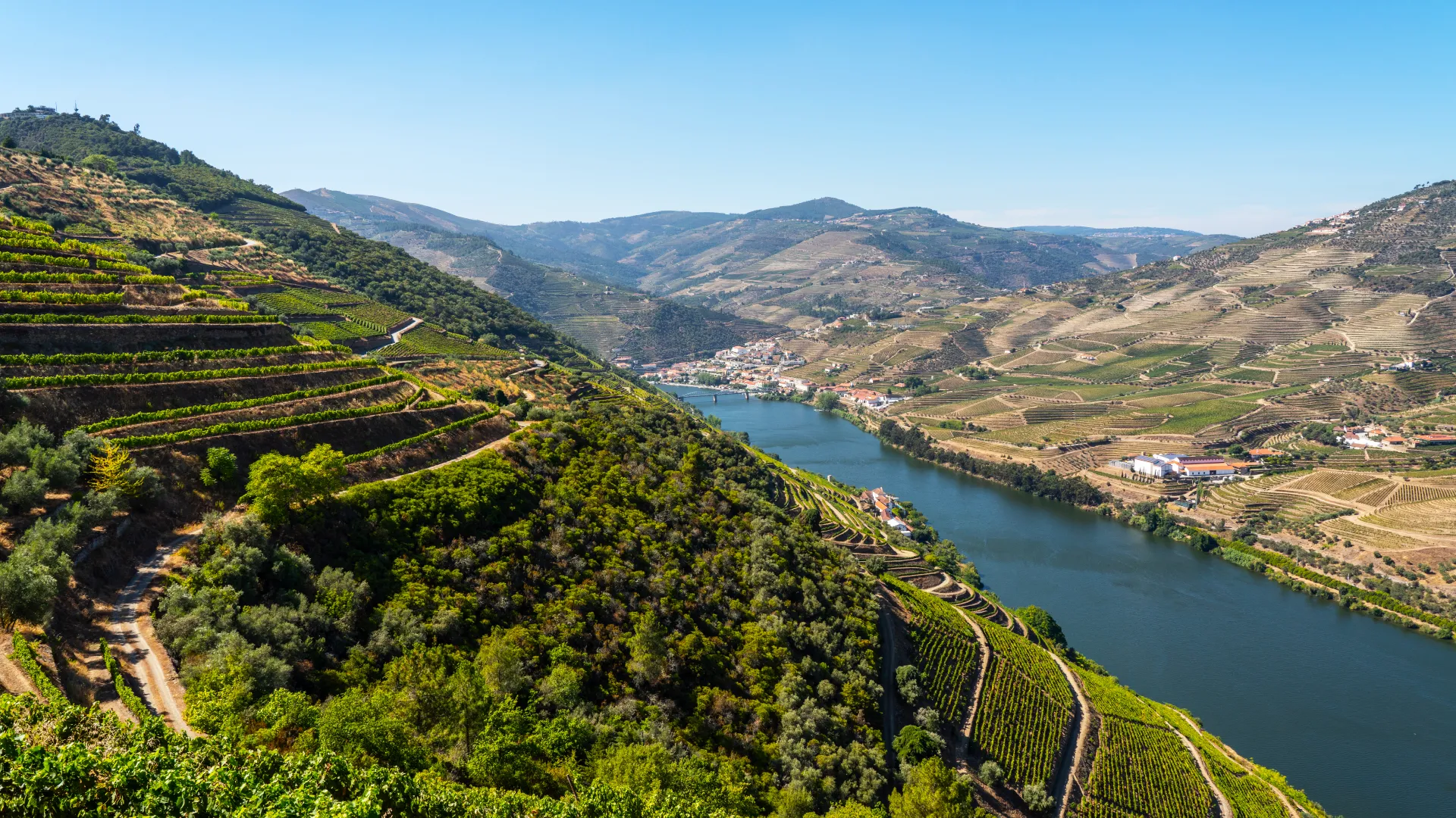 paisagem vale douro embarque with us