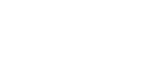 Logo Embarque Branco